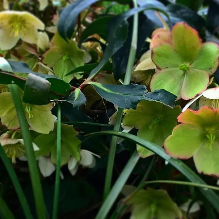 Maison A La Campagne Avec Jardin Clos - Animaux Acceptes - Fr-1-489-172 بيت للعطل