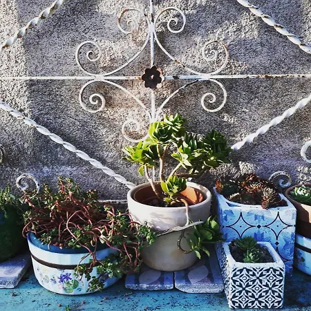 Maison A La Campagne Avec Jardin Clos - Animaux Acceptes - Fr-1-489-172 Barrais-Bussolles