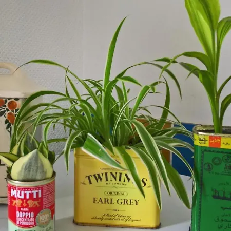 別荘 Maison A La Campagne Avec Jardin Clos - Animaux Acceptes - Fr-1-489-172