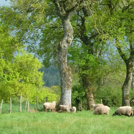 Maison A La Campagne Avec Jardin Clos - Animaux Acceptes - Fr-1-489-172 Lantställe